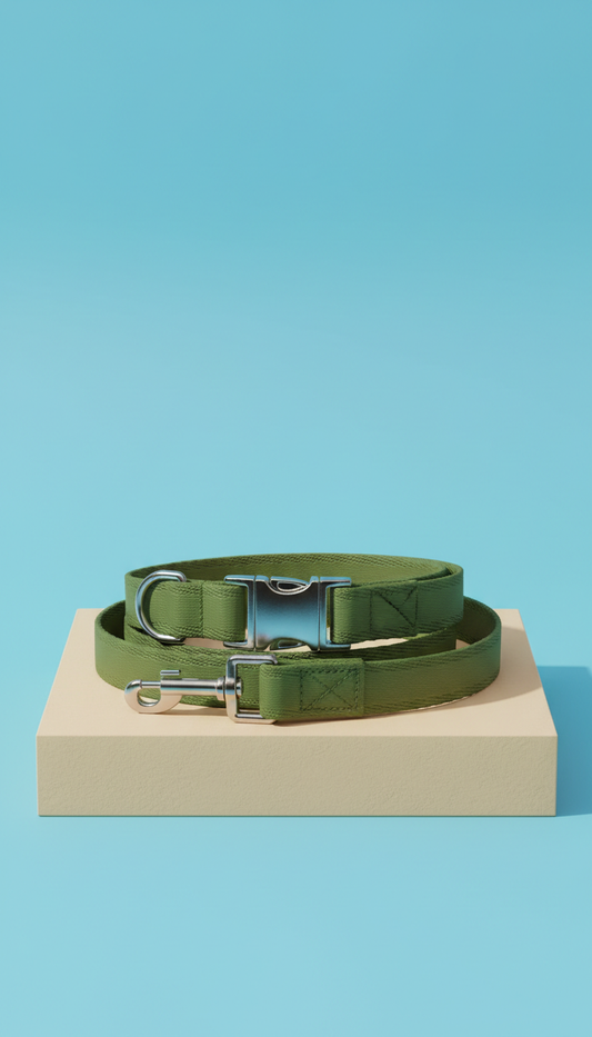 Nylon Collar With Reflective Trim